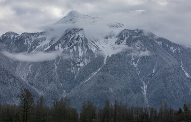 Foggy morning at cold day in the mountains. Mount Cheam during the winter season in Agassiz BC Canada