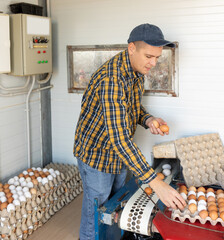 Positive man picking fresh eggs from a poultry farm conveyor