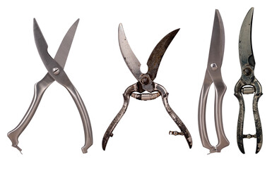 Old and new scissors for cutting chicken bones and meat in the home kitchen. Isolated background.