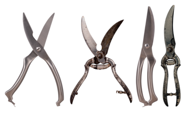 Old and new scissors for cutting chicken bones and meat in the home kitchen. Isolated background.