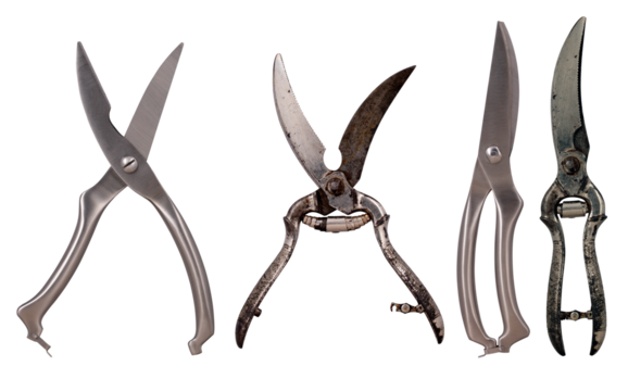 Old and new scissors for cutting chicken bones and meat in the home kitchen. Isolated background.