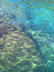 Sea underwater view of coral reef.