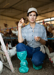 Adult experienced latin woman picking eggs and puts them on trays in chicken farm