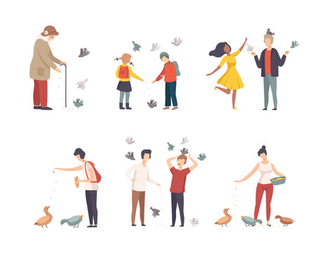 People feeding pigeons and ducks while walking set cartoon vector illustration