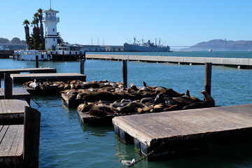 Pier 39. San Francisco. USA. 2015
