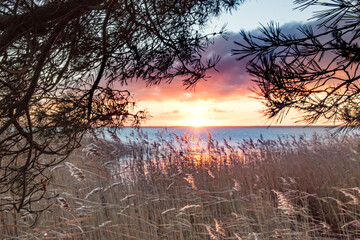 Fototapeta premium küste