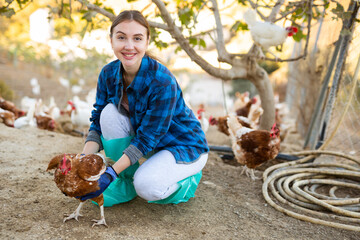 Smiling skilled young female farmer caring for domestic chickens in henyard of poultry farm on...