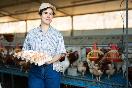 Latin female farmer in plaid shirt holding special tray of organic harvested chicken eggs and smiling at camera in henhouse