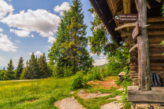 G&oacute;ry Gorce, Polana Jank&oacute;wki, bac&oacute;wka