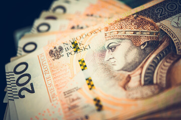 Polish Cash Money Banknotes Closeup