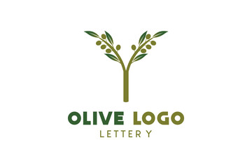 Olive logo design with letter y concept, natural green olive vector illustration - obrazy, fototapety, plakaty