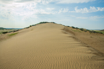 saudi arabian after rain season winter