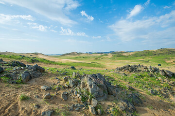 Fototapeta premium saudi arabian after rain season winter