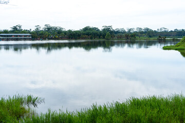 A landscape scenery with a building near a river and a lot of trees