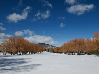 pc winter golf course