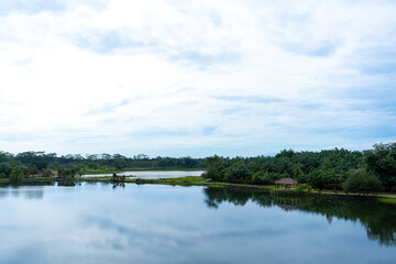 A landscape scenery with a building near a river and a lot of trees