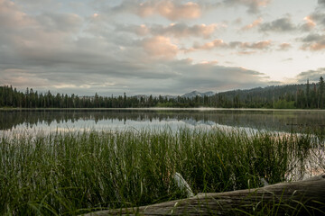 Soft Pink Light on Clouds Above Laurel Lake in Yosemite