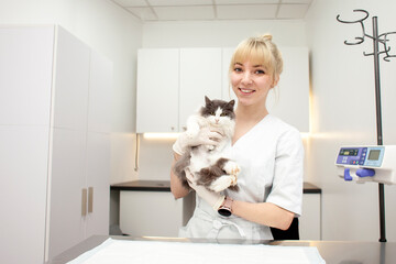 young girl veterinarian in uniform holds sick cat and smiles in veterinary clinic against the background of workplace