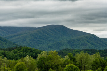 Fototapeta premium Spring Green Layers And Cloudy Sky In Cades Cove