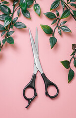 Scissors hairdresser with a plant on a pink background.