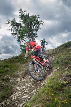 Mountain bikers riding down hill on forest path, Trentino-Alto Adige, Italy