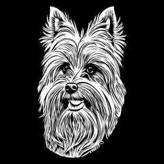 Yorkshire Terrier dog hand drawn illustration, black and white vector pets logo line art
