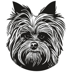 Yorkshire Terrier dog hand drawn line art vector drawing black and white logo pets illustration