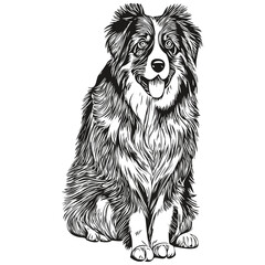 Australian Shepherd dog hand drawn logo line art vector drawing black and white pets illustration