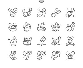 Radish. Eco farming. Nature vegetable organic food nutrition. Cooking, recipes and price. Food shop, supermarket. Pixel Perfect Vector Thin Line Icons. Simple Minimal Pictogram
