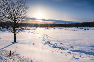Winter wonderland in Quebec Canada