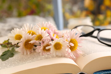 Open book with chamomile flowers as bookmark and glasses near window, closeup