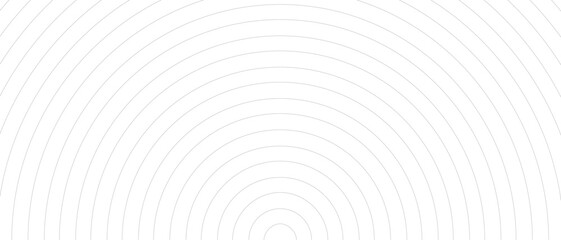 Circle lines pattern on white background. Circle lines pattern for backdrop, brochure, wallpaper template. Realistic lines with repeat circles texture. Simple geometric background, vector illustration