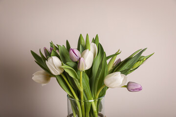 Beautiful bouquet of colorful tulips in glass vase on beige background