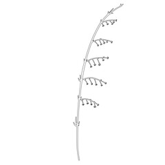 Outline Flower on Branch with Leaves. Floral Illustration. Hand drawn continuous line wild elegant herb. 