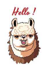 Llama cartoon alpaca. Lama animal vector isolated illustration. Cute funny digital art. Design for card, sticker , fabric textile, t shirt. Children, kid modern trendy style. Hello alpaca © AnaMaria