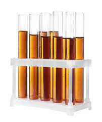 Test tubes with brown liquid in stand on white background