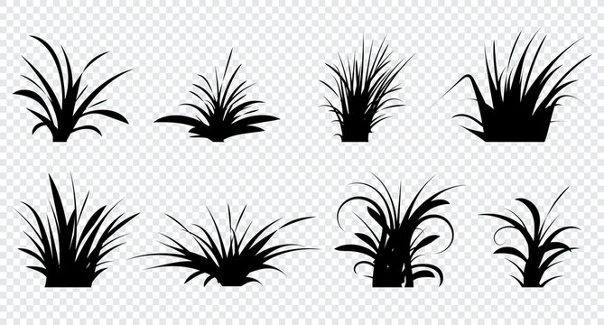 Set of hand drawn grass. Black vector grass silhouette. Grass icon set. Vector illustration