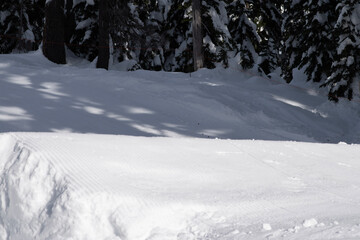 skier or snowboarder jumping in the forest