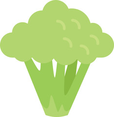 Healthy brocoli icon flat vector. Vegetable broccoli. Plant salad isolated