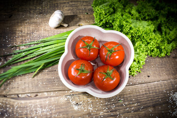 Four Tomatoes in an eco-friendly portable disposable container