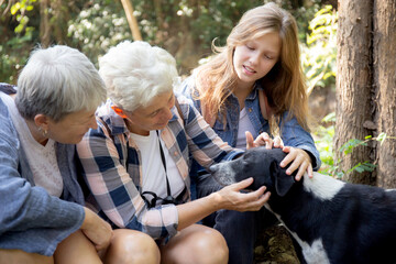 Teenager girl and two grandmother traveling travel to forest and adventure while playful with dog together with happy, senior woman and granddaughter hiking with fun and vitality in holiday.