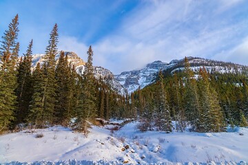 Winter Day In The Canmore Mountains