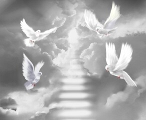 The flying four white doves around clouds stairs leading to shining heaven and the background of the clouds in beautiful nebula and stars