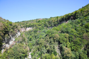 Fototapeta na wymiar Beautiful mountain landscape with green forest under blue sky