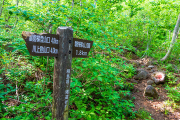 新緑の磐梯山・標識