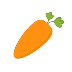 illustration vector graphic vegetable carrot