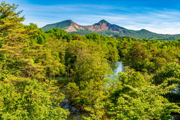 裏磐梯・新緑の中瀬沼と磐梯山