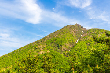 新緑の磐梯山を望む