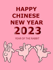 Chinese new year of the rabbit 2023 illustration poster