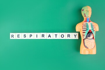 letters of the alphabet with the word respiratory. the concept of illness and disease. Respiratory...